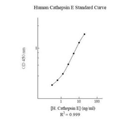 Novus Biologicals&trade;&nbsp;Human Cathepsin E ELISA Kit (Colorimetric)